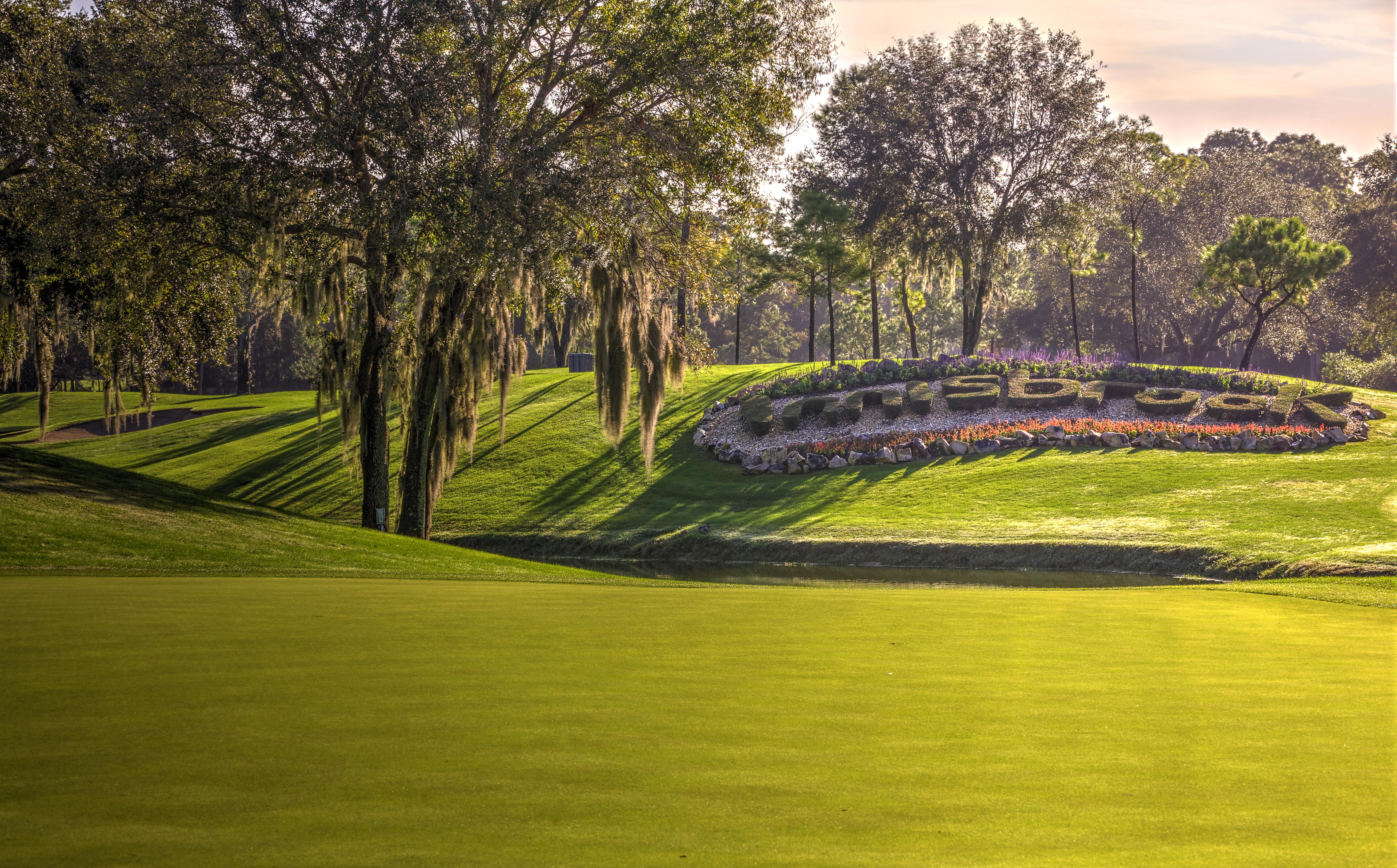 Innisbrook Resort Palm Harbor Zewnętrze zdjęcie
